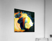 3458 8K Acrylic Print