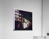 3450 8K Acrylic Print