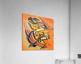 3444 8K Acrylic Print