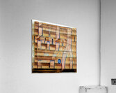 3575 8K Acrylic Print