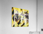 3586 8K Acrylic Print