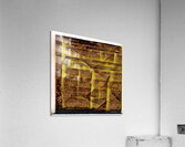 3598 8K Acrylic Print