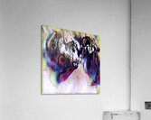 3583 8K Acrylic Print