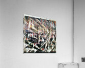 3563 8K Acrylic Print