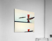 3584 8K Acrylic Print