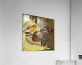 3568 8K Acrylic Print