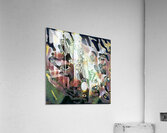 3561 8K Acrylic Print