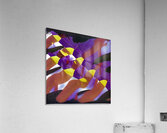 3569 8K Acrylic Print