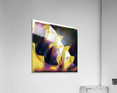 3578 8K Acrylic Print