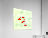 3634 8K Acrylic Print