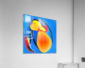 3612 8K Acrylic Print