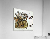 3603 8K Acrylic Print