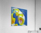 3629 8K Acrylic Print