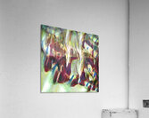 3675 8K Acrylic Print