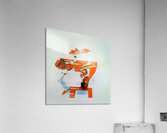 3659 8K Impression acrylique