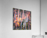 3677 8K Acrylic Print