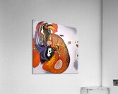 3673 8K Acrylic Print