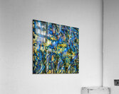 3667 8K Acrylic Print