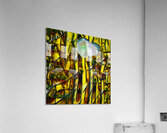 3672 8K Acrylic Print