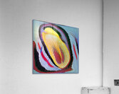 3651 8K Acrylic Print