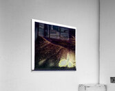 3705 8K Acrylic Print