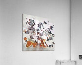 3687 8K Acrylic Print