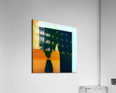 3751 8K Acrylic Print