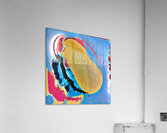 3729 8K Acrylic Print