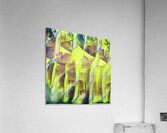 3753 8K Acrylic Print