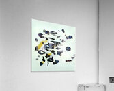 3740 8K Acrylic Print