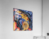 3758 8K Acrylic Print