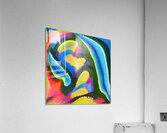 3743 8K Acrylic Print