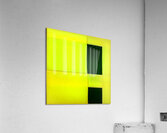 3755 8K Acrylic Print