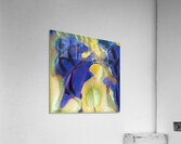 3767 8K Impression acrylique