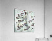 3789 8K Acrylic Print