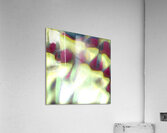 3765 8K Acrylic Print