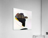 3774 8K Acrylic Print