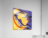 3783 8K Acrylic Print