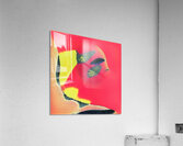 3787 8K Acrylic Print