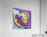 3761 8K Acrylic Print