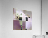 3798 8K Acrylic Print