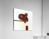 3775 8K Acrylic Print