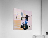 3784 8K Acrylic Print