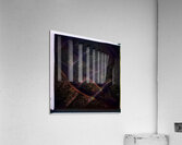 3769 8K Acrylic Print