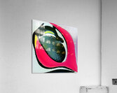 3836 8K Acrylic Print