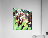 3804 8K Acrylic Print