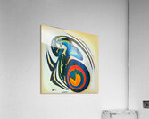 3811 8K Acrylic Print