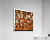 3826 8K Acrylic Print