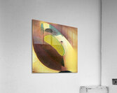 3831 8K Acrylic Print