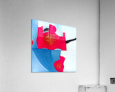 3810 8K Acrylic Print